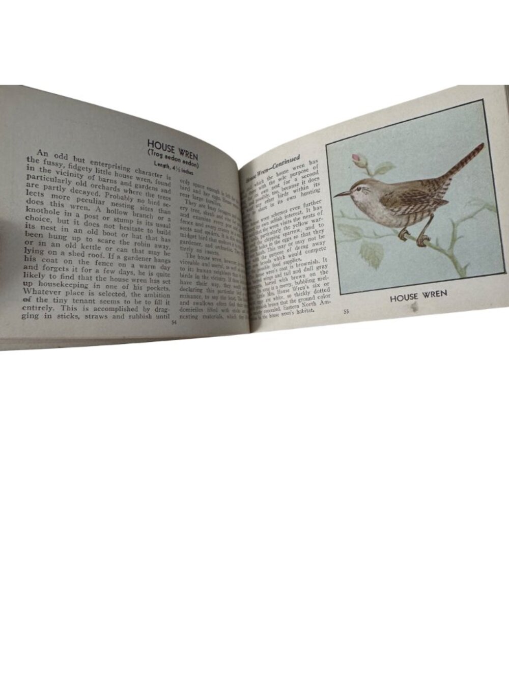 Vintage 1931 "The Green Book Of Birds Of America" By Frank G. Ashbrook - Picture 11 of 16